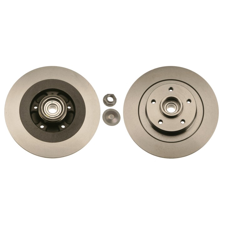 TRW Arka Rulmanlı Fren Diski Renault: Laguna III (bt0/1), Laguna III Grandtour (kt0/1), Latitude (l70_) 1999-2002