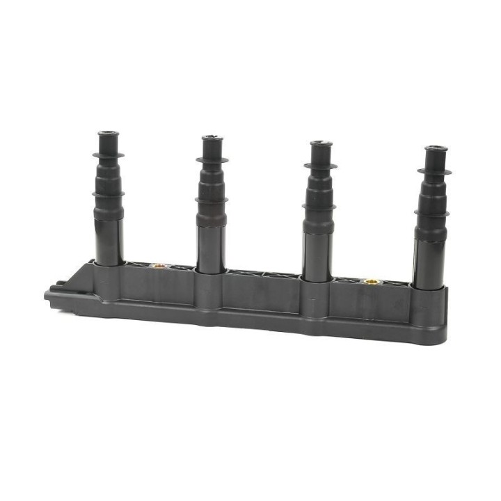 Ateşleme Bobini Citroen C2C3C4 1.4 16V Peugeot P206 P207 P307 1007 1.4 16V ET3J4- GN10239-12B1 Delphi