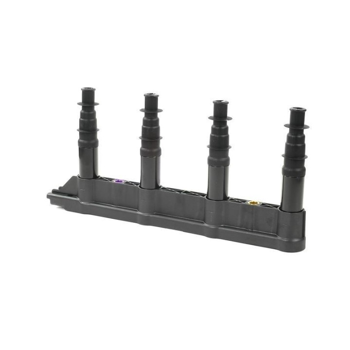 Ateşleme Bobini Citroen C2C3C4 1.4 16V Peugeot P206 P207 P307 1007 1.4 16V ET3J4- GN10239-12B1 Delphi