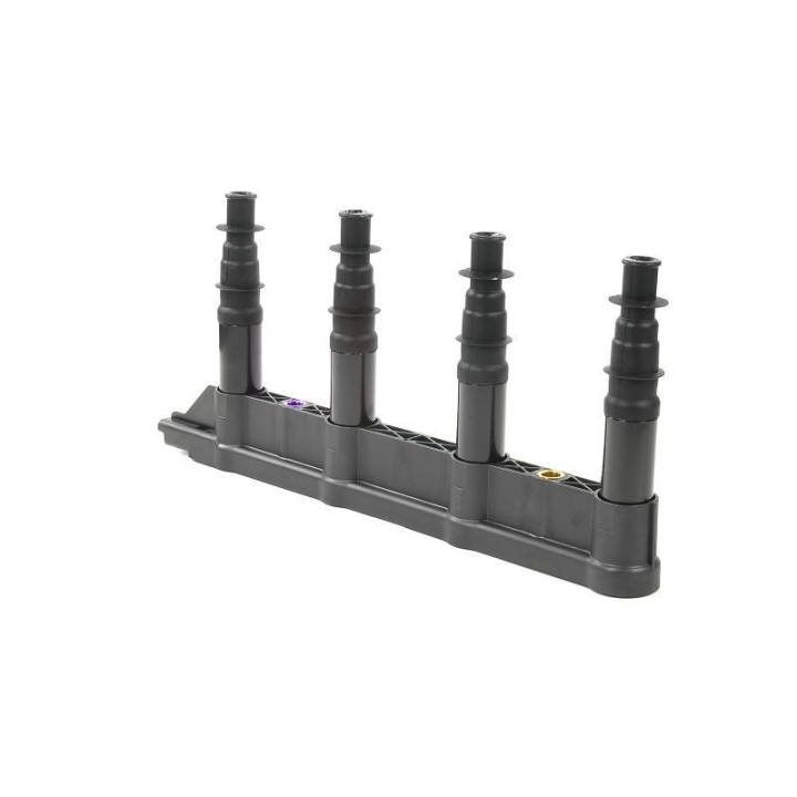Ateşleme Bobini Citroen C2C3C4 1.4 16V Peugeot P206 P207 P307 1007 1.4 16V ET3J4- GN10239-12B1 Delphi