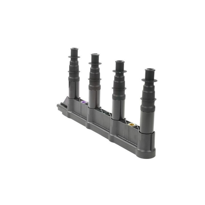 Ateşleme Bobini Citroen C2C3C4 1.4 16V Peugeot P206 P207 P307 1007 1.4 16V ET3J4- GN10239-12B1 Delphi