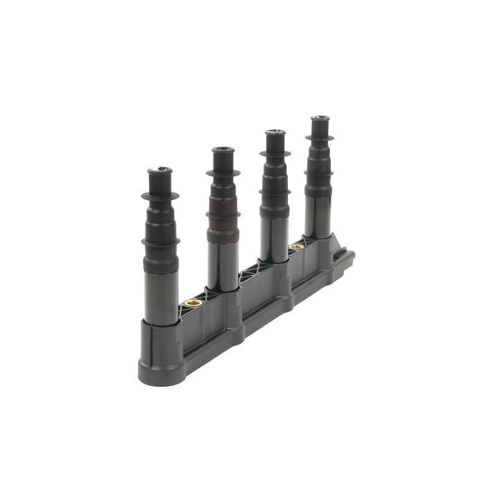 Ateşleme Bobini Citroen C2C3C4 1.4 16V Peugeot P206 P207 P307 1007 1.4 16V ET3J4- GN10239-12B1 Delphi