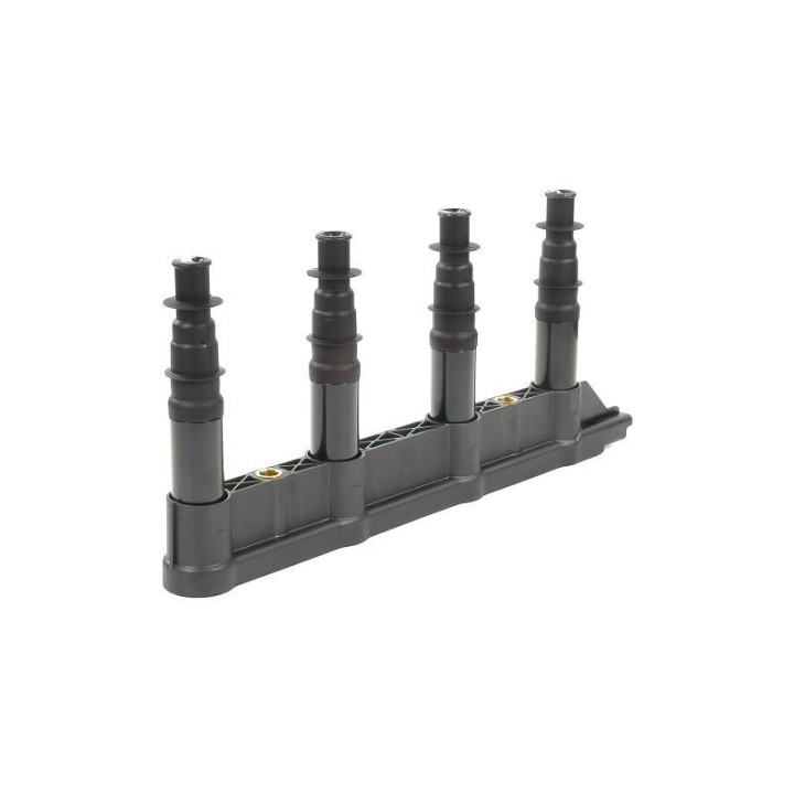 Ateşleme Bobini Citroen C2C3C4 1.4 16V Peugeot P206 P207 P307 1007 1.4 16V ET3J4- GN10239-12B1 Delphi