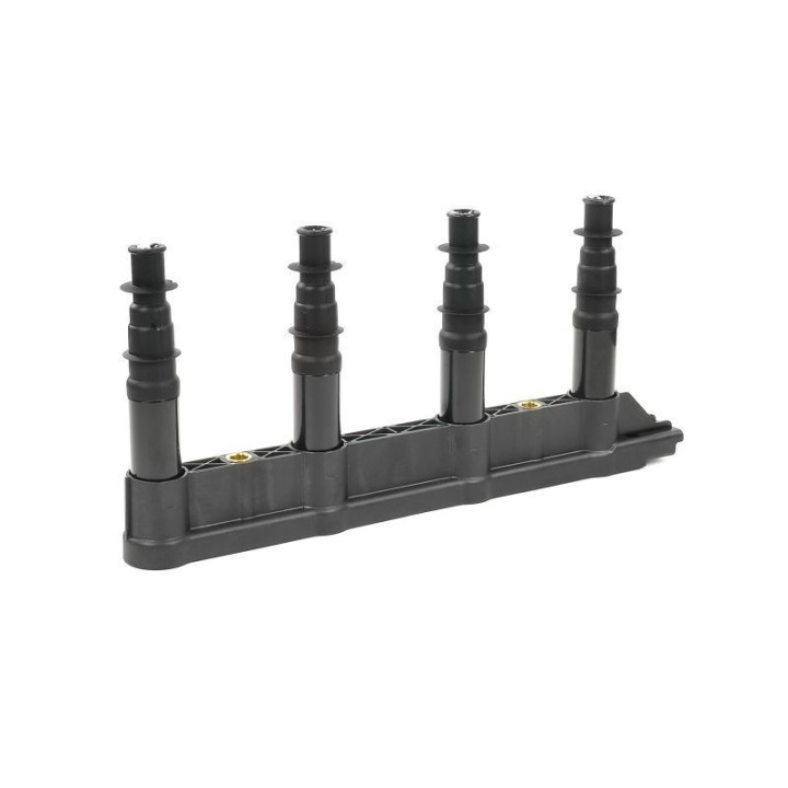 Ateşleme Bobini Citroen C2C3C4 1.4 16V Peugeot P206 P207 P307 1007 1.4 16V ET3J4- GN10239-12B1 Delphi