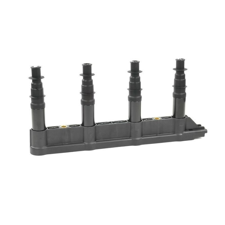Ateşleme Bobini Citroen C2C3C4 1.4 16V Peugeot P206 P207 P307 1007 1.4 16V ET3J4- GN10239-12B1 Delphi