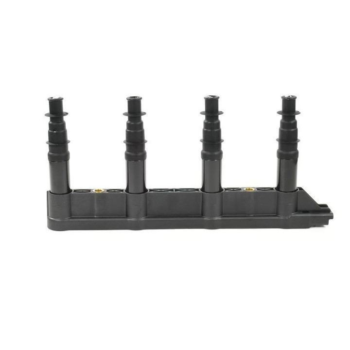 Ateşleme Bobini Citroen C2C3C4 1.4 16V Peugeot P206 P207 P307 1007 1.4 16V ET3J4- GN10239-12B1 Delphi