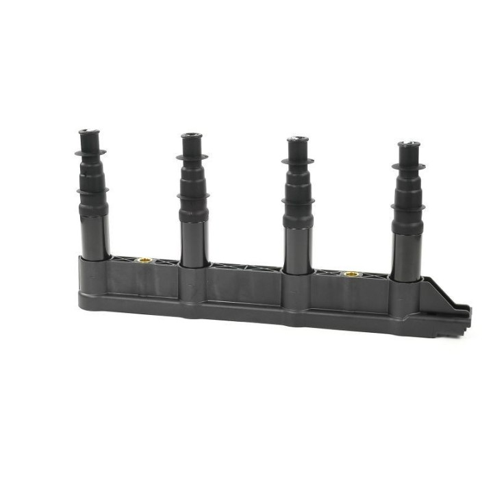Ateşleme Bobini Citroen C2C3C4 1.4 16V Peugeot P206 P207 P307 1007 1.4 16V ET3J4- GN10239-12B1 Delphi