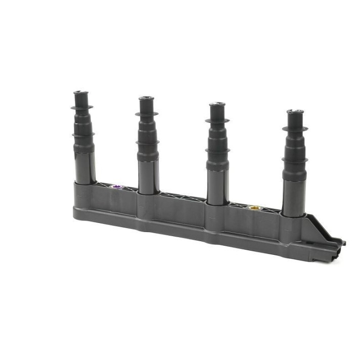 Ateşleme Bobini Citroen C2C3C4 1.4 16V Peugeot P206 P207 P307 1007 1.4 16V ET3J4- GN10239-12B1 Delphi