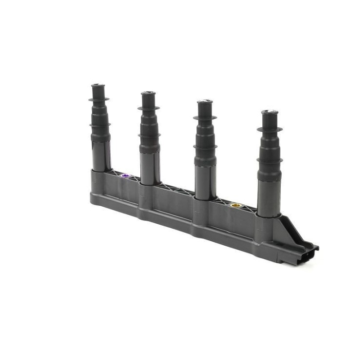 Ateşleme Bobini Citroen C2C3C4 1.4 16V Peugeot P206 P207 P307 1007 1.4 16V ET3J4- GN10239-12B1 Delphi