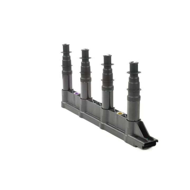Ateşleme Bobini Citroen C2C3C4 1.4 16V Peugeot P206 P207 P307 1007 1.4 16V ET3J4- GN10239-12B1 Delphi