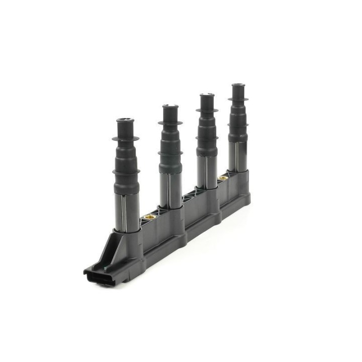 Ateşleme Bobini Citroen C2C3C4 1.4 16V Peugeot P206 P207 P307 1007 1.4 16V ET3J4- GN10239-12B1 Delphi
