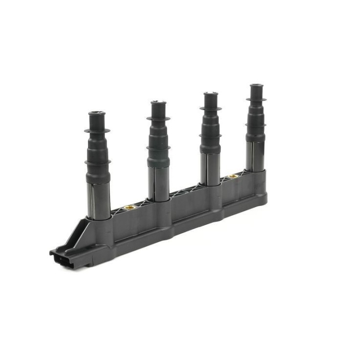 Ateşleme Bobini Citroen C2C3C4 1.4 16V Peugeot P206 P207 P307 1007 1.4 16V ET3J4- GN10239-12B1 Delphi