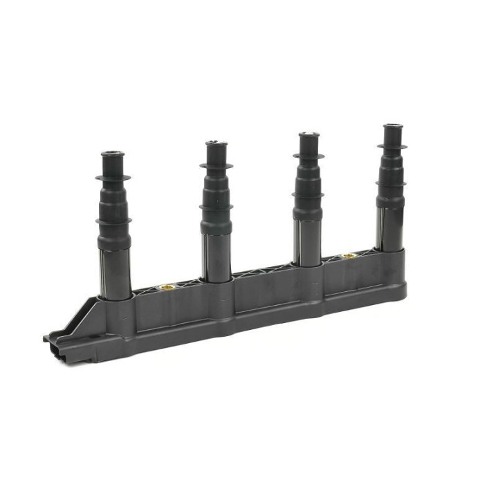 Ateşleme Bobini Citroen C2C3C4 1.4 16V Peugeot P206 P207 P307 1007 1.4 16V ET3J4- GN10239-12B1 Delphi