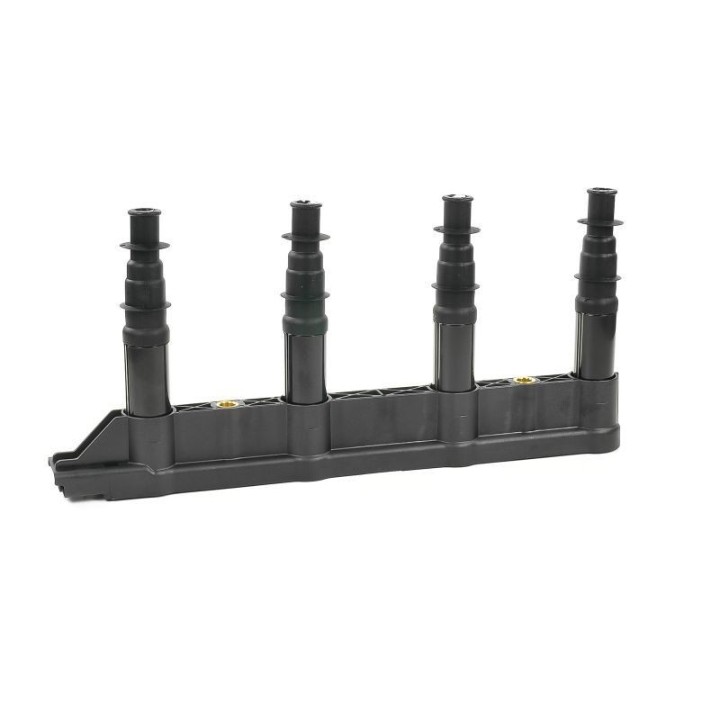 Ateşleme Bobini Citroen C2C3C4 1.4 16V Peugeot P206 P207 P307 1007 1.4 16V ET3J4- GN10239-12B1 Delphi