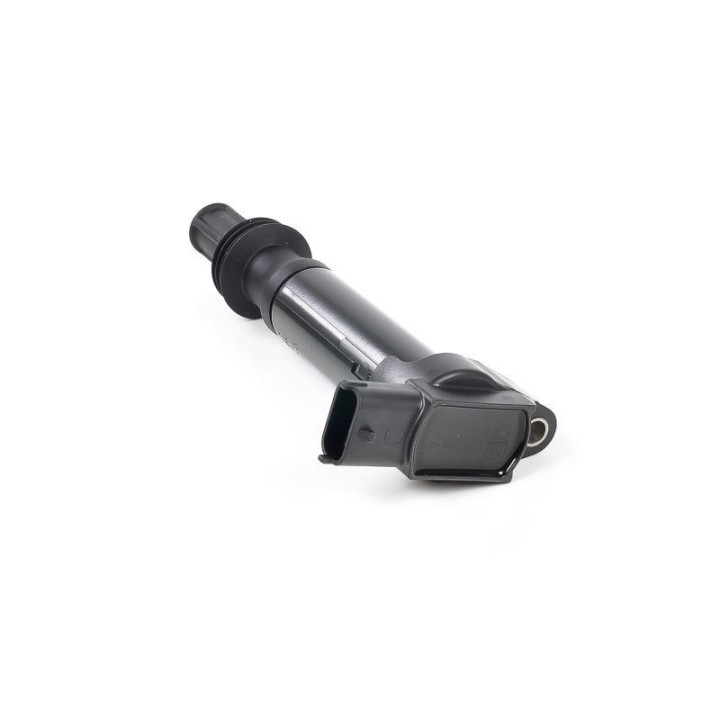 Ateşleme Bobini P308 P3008 12 - GN10584-12B1 Delphi