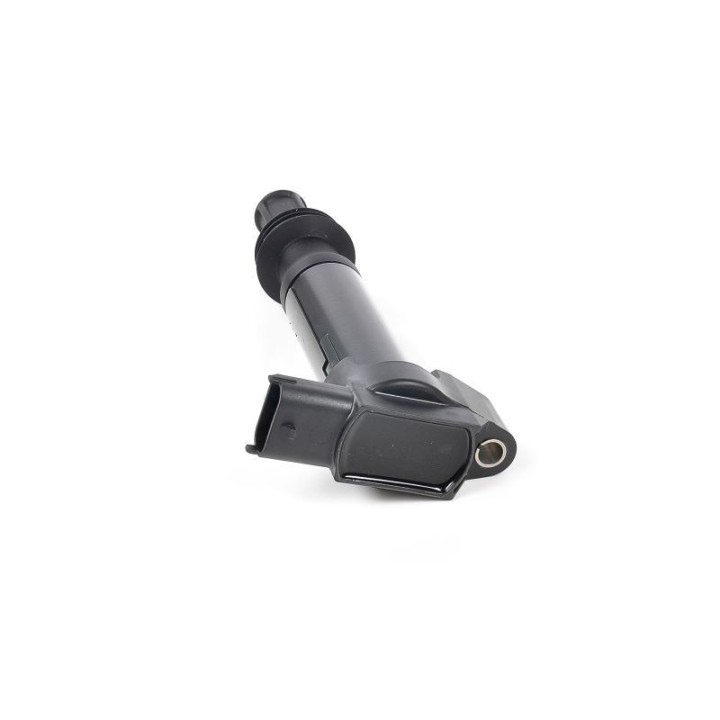 Ateşleme Bobini P308 P3008 12 - GN10584-12B1 Delphi
