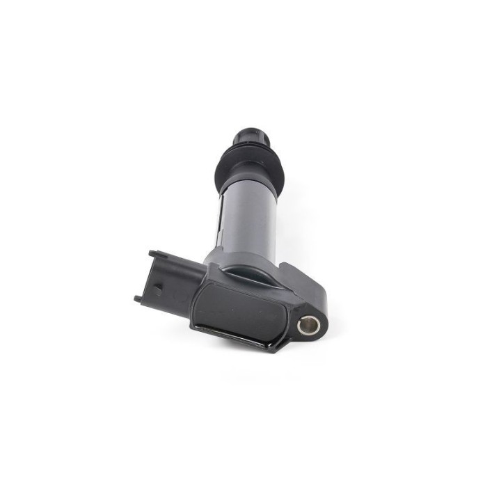 Ateşleme Bobini P308 P3008 12 - GN10584-12B1 Delphi