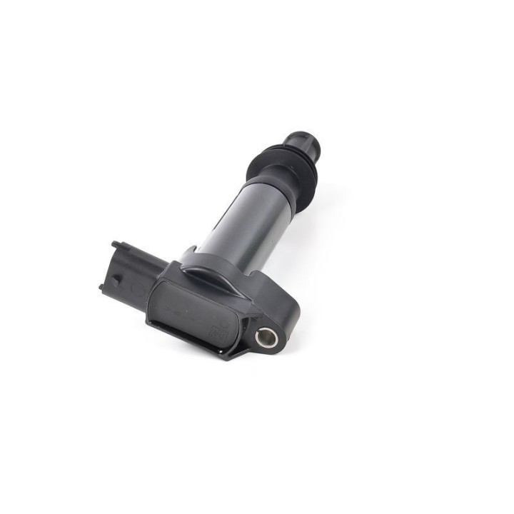 Ateşleme Bobini P308 P3008 12 - GN10584-12B1 Delphi