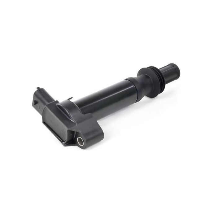 Ateşleme Bobini P308 P3008 12 - GN10584-12B1 Delphi