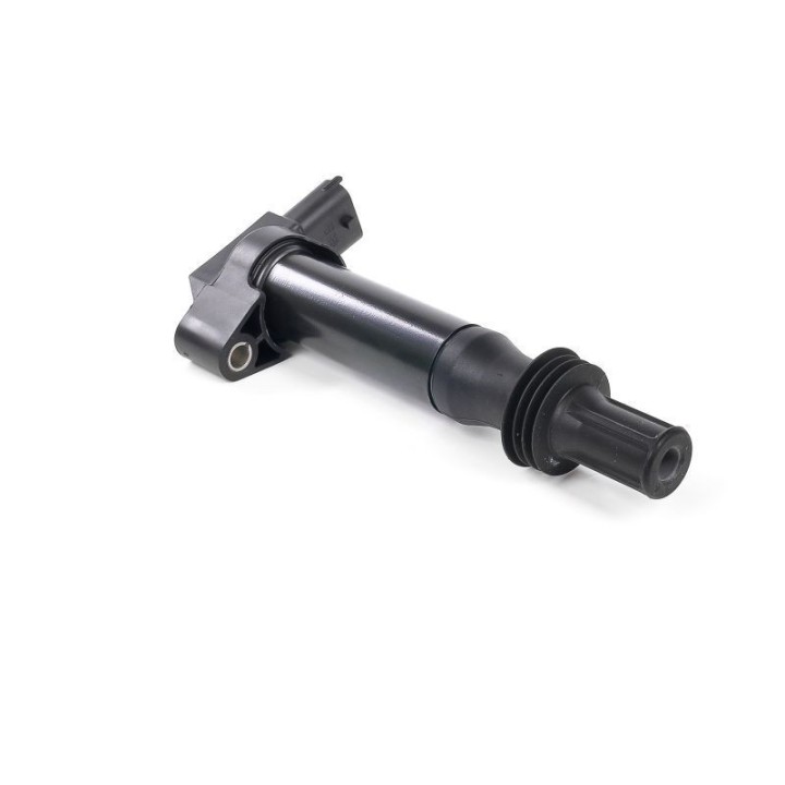 Ateşleme Bobini P308 P3008 12 - GN10584-12B1 Delphi