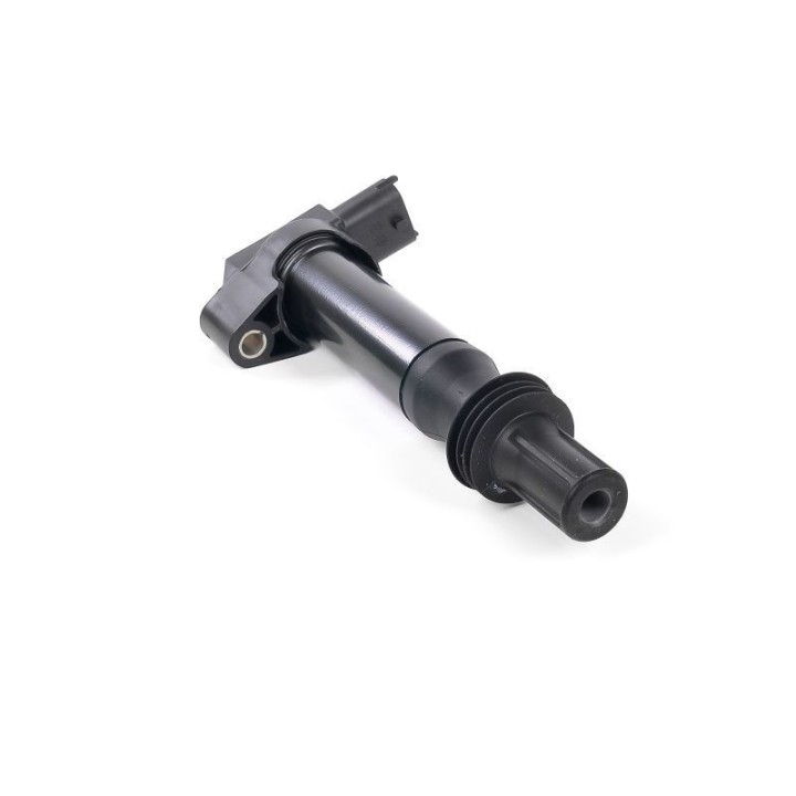 Ateşleme Bobini P308 P3008 12 - GN10584-12B1 Delphi