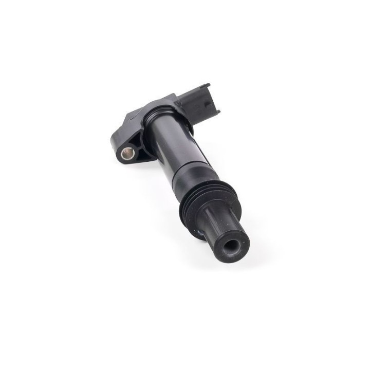 Ateşleme Bobini P308 P3008 12 - GN10584-12B1 Delphi