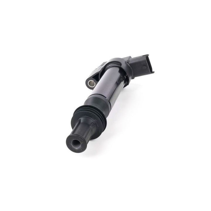 Ateşleme Bobini P308 P3008 12 - GN10584-12B1 Delphi