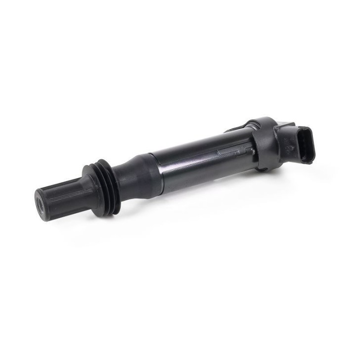 Ateşleme Bobini P308 P3008 12 - GN10584-12B1 Delphi