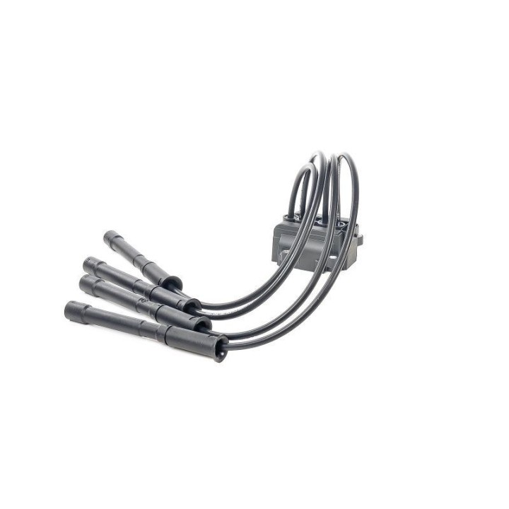 Ateşleme Bobini Clio 1.2 16V - CE20018-12B1 Delphi