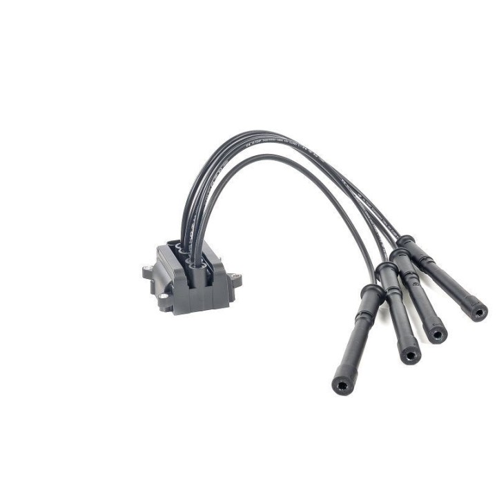 Ateşleme Bobini Clio 1.2 16V - CE20018-12B1 Delphi