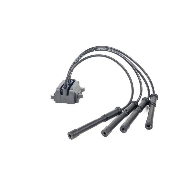 Ateşleme Bobini Clio 1.2 16V - CE20018-12B1 Delphi