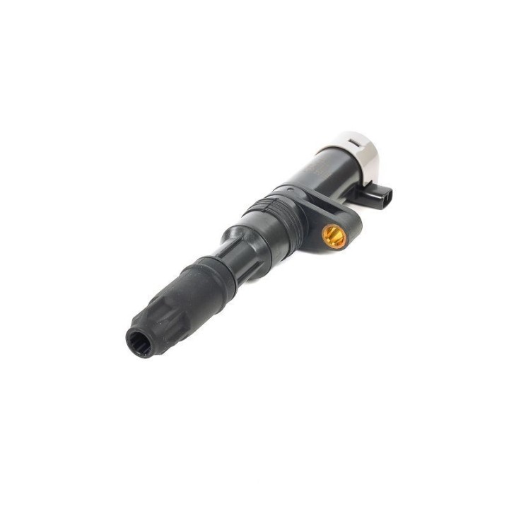 Ateşleme Bobini Kalem - Renault Megane II Scenic I- II Clio II 1.4 16V 1.6 16V 2.0 16 Laguna II 1.6 16V 1.8 16V - CE20014-12B1