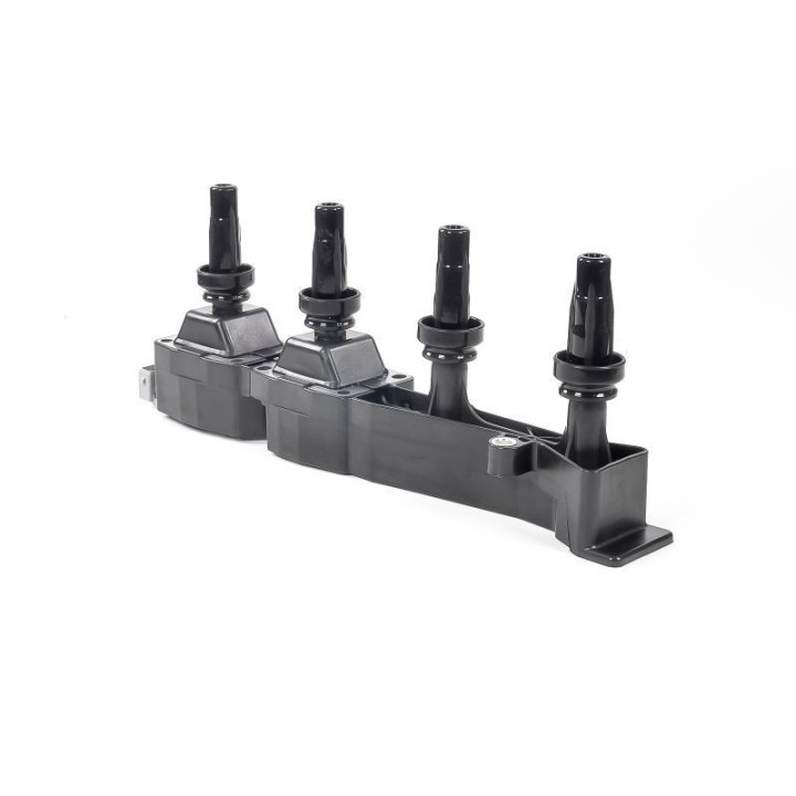 Ateşleme Bobini PSA Berlingo C2 - C3 - C4 - Xsara - 206 - 307 - 308 - Partner - GN10319-12B1 Delphi