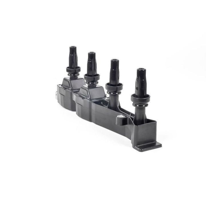 Ateşleme Bobini PSA Berlingo C2 - C3 - C4 - Xsara - 206 - 307 - 308 - Partner - GN10319-12B1 Delphi