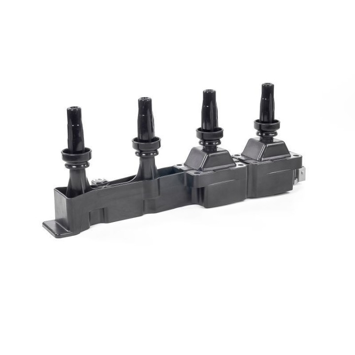 Ateşleme Bobini PSA Berlingo C2 - C3 - C4 - Xsara - 206 - 307 - 308 - Partner - GN10319-12B1 Delphi