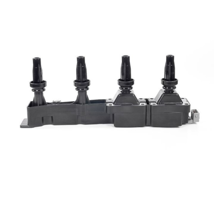 Ateşleme Bobini PSA Berlingo C2 - C3 - C4 - Xsara - 206 - 307 - 308 - Partner - GN10319-12B1 Delphi