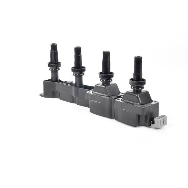 Ateşleme Bobini PSA Berlingo C2 - C3 - C4 - Xsara - 206 - 307 - 308 - Partner - GN10319-12B1 Delphi
