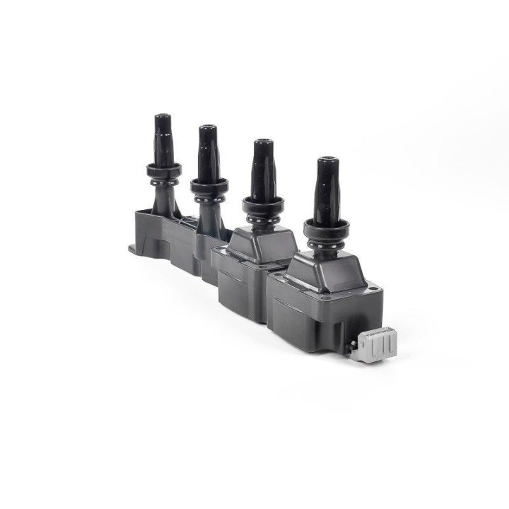 Ateşleme Bobini PSA Berlingo C2 - C3 - C4 - Xsara - 206 - 307 - 308 - Partner - GN10319-12B1 Delphi