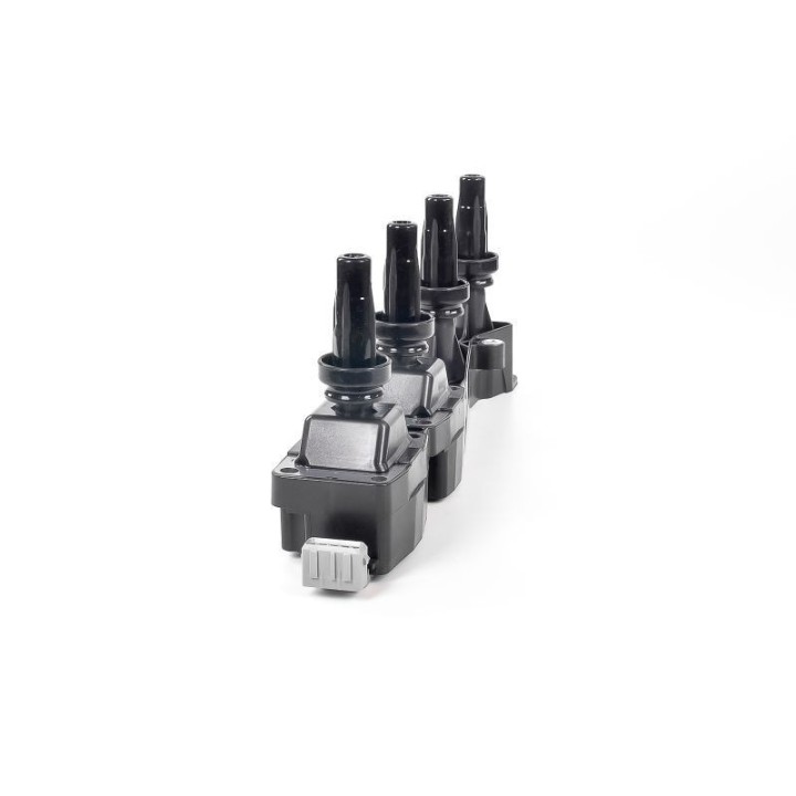 Ateşleme Bobini PSA Berlingo C2 - C3 - C4 - Xsara - 206 - 307 - 308 - Partner - GN10319-12B1 Delphi