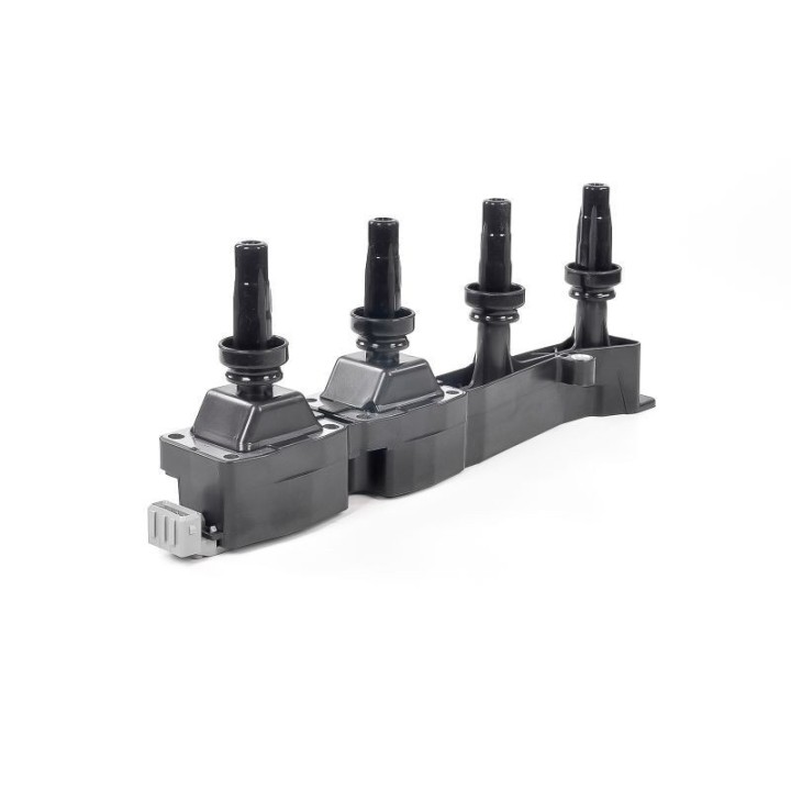 Ateşleme Bobini PSA Berlingo C2 - C3 - C4 - Xsara - 206 - 307 - 308 - Partner - GN10319-12B1 Delphi