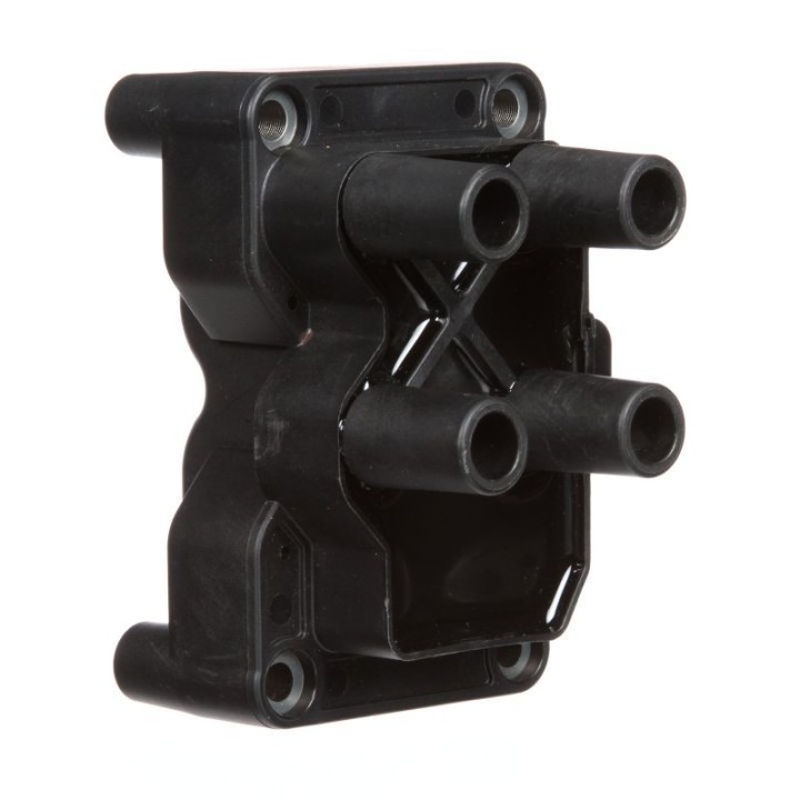 Ateşleme Bobini Ford C-Max, Focus C-Max, Fiesta, Focus, Fusion, Ka, Mondeo, Volvo C30, S40, V50 (2004 - ) GN10205-12B1 Delphi