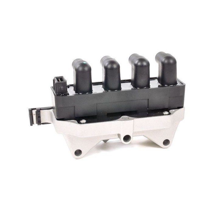 Ateşleme Bobini Fiat Brava, Doblo, Marea, Palio, Siena, Lancia Delta - CE20061-12B1 Delphi