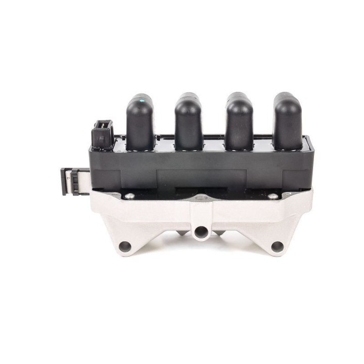 Ateşleme Bobini Fiat Brava, Doblo, Marea, Palio, Siena, Lancia Delta - CE20061-12B1 Delphi