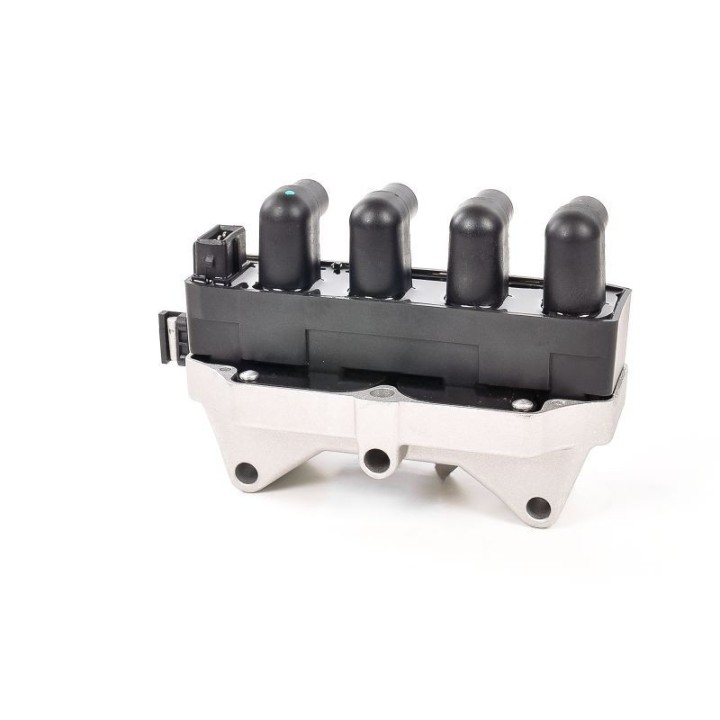 Ateşleme Bobini Fiat Brava, Doblo, Marea, Palio, Siena, Lancia Delta - CE20061-12B1 Delphi