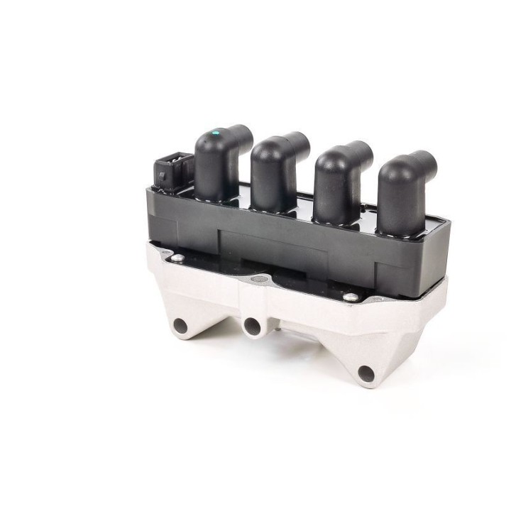Ateşleme Bobini Fiat Brava, Doblo, Marea, Palio, Siena, Lancia Delta - CE20061-12B1 Delphi