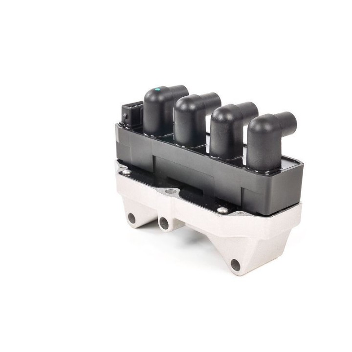 Ateşleme Bobini Fiat Brava, Doblo, Marea, Palio, Siena, Lancia Delta - CE20061-12B1 Delphi