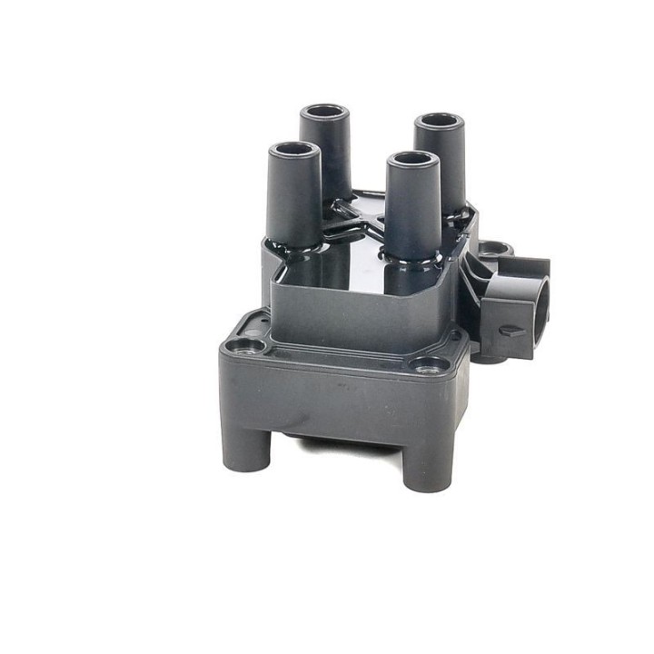 Ateşleme Bobini Ford Escort, Fiesta, Focus, Ka, Mondeo, Connect - CE20044-12B1 Delphi